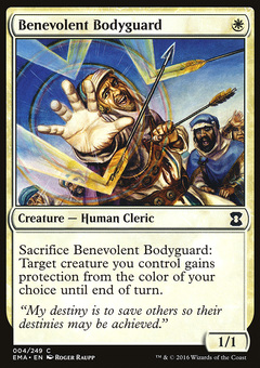 Benevolent Bodyguard